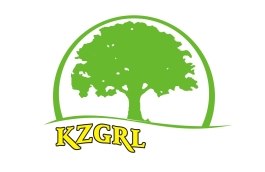Logo koronowirusa